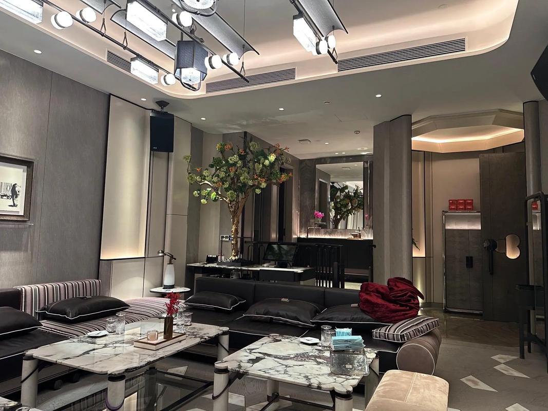 平顶山商务ktv怎么玩超全攻略-湛河区ktv预定