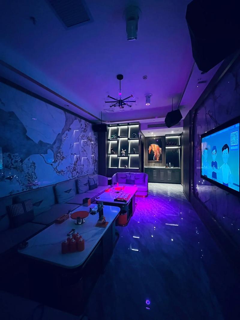 平顶山商务ktv优质商务ktv预订推荐-石龙区ktv预定